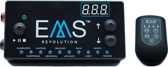 фитнес клуб оборудование